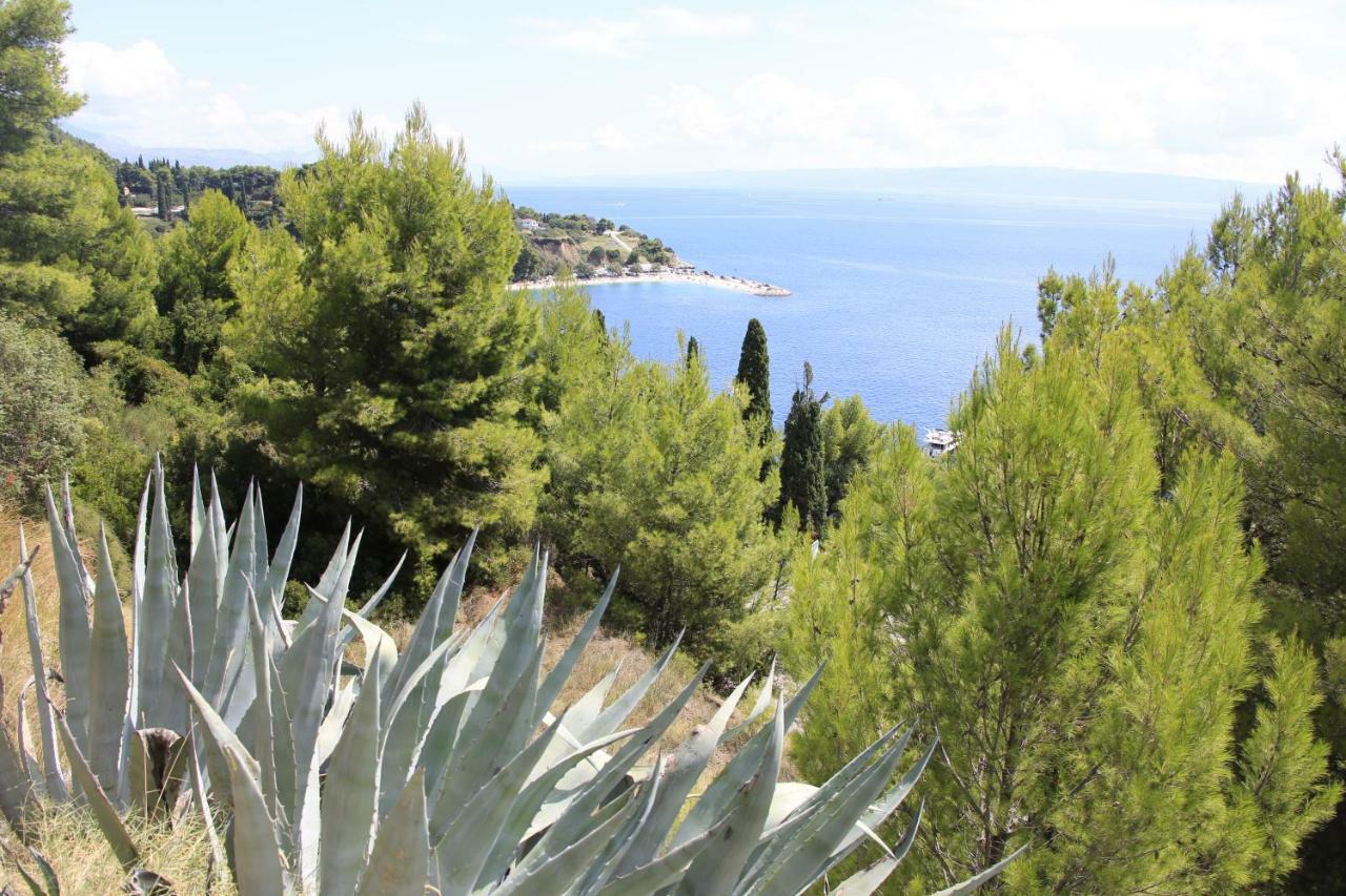 Beach Hotel Split Подстрана Экстерьер фото